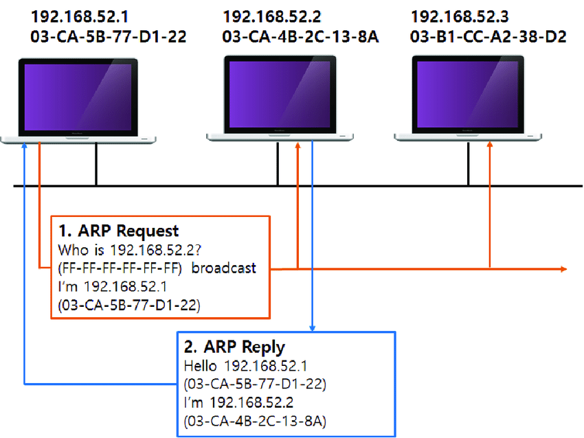 proxy list alive