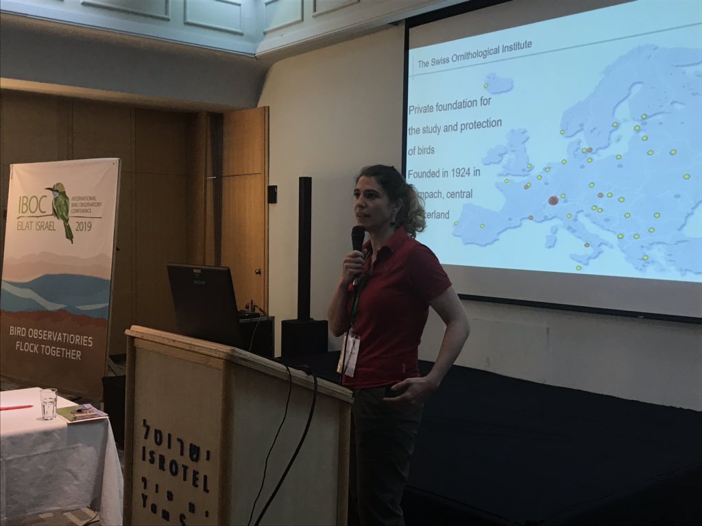 IBOC2019's tweet image. Last, but certainly not least, the final talk of #IBOC2019 is being delivered by the Swiss Ornithological Institute’s Sophie Jaquier! An enlightening walk through the fundraising strategies of one of the world’s largest bird observatories.
