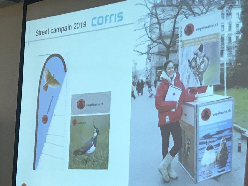 IBOC2019's tweet image. Last, but certainly not least, the final talk of #IBOC2019 is being delivered by the Swiss Ornithological Institute’s Sophie Jaquier! An enlightening walk through the fundraising strategies of one of the world’s largest bird observatories.