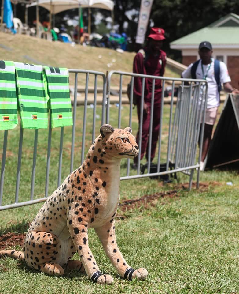 The Zimbabwe 7s Rugby team, the #Cheetahs leave for Hong Kong this evening ahead of the 2019 #HongKong7s.The Cheetahs will play in the World Series Qualifier tournament with 11 other teams. The winner gains core team status for the 2019–20 World Rugby Sevens Series. <a href="/zimsevens/">Zimbabwe 7's Rugby</a>