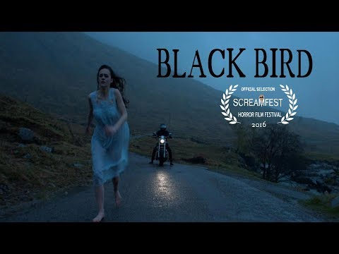 kri8TVBox's tweet photo. BLACKBIRD | A SCARY SHORT HORROR FILM https://t.co/RkaeskpUEC https://t.co/f45dh3dxae