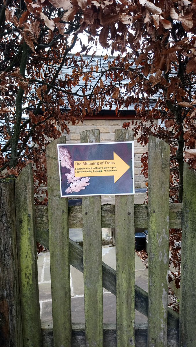 sarahcook_art's tweet image. Did you stop by at #themeaningoftrees exhibition in the #peakdistrict this weekend? We&apos;ve had such wonderful weather! The sunlight created magical shadows on the cloak of leaves, making them shine &amp;amp; glint. What do the sculptures represent for you?