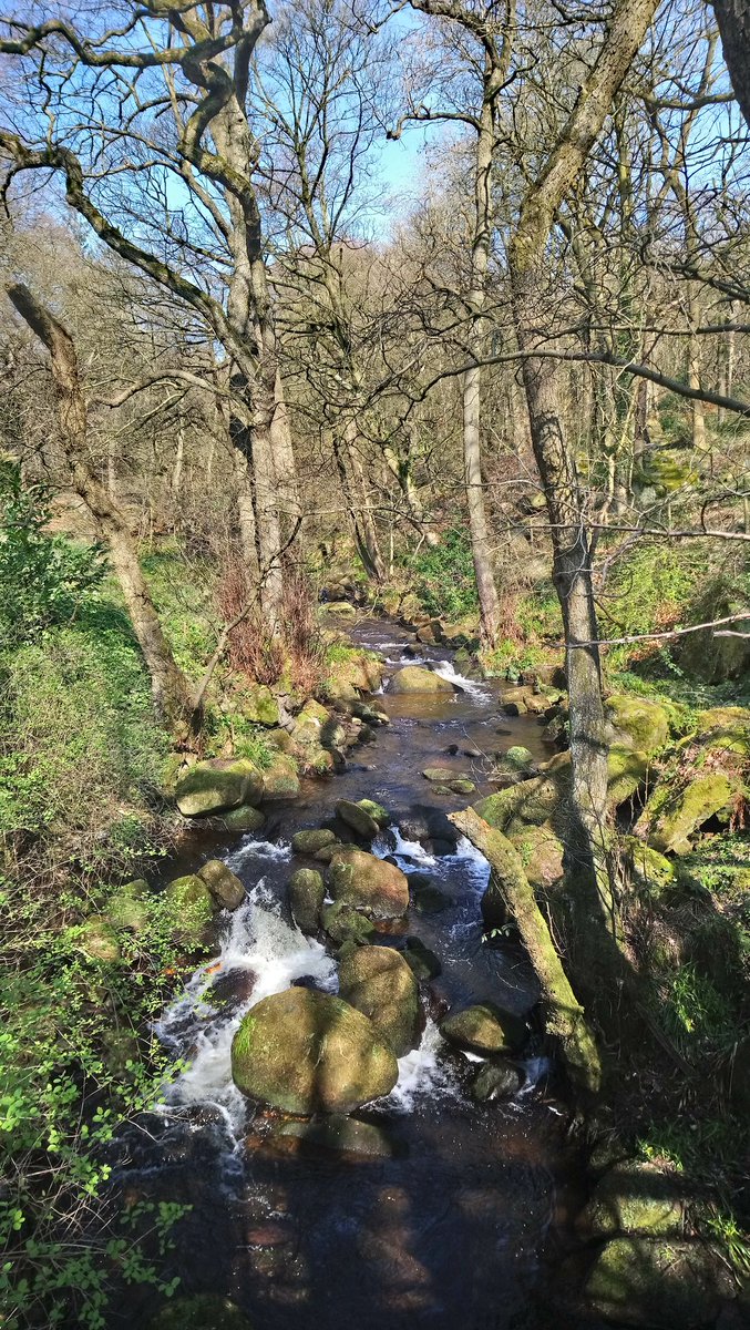 sarahcook_art's tweet image. Did you stop by at #themeaningoftrees exhibition in the #peakdistrict this weekend? We&apos;ve had such wonderful weather! The sunlight created magical shadows on the cloak of leaves, making them shine &amp;amp; glint. What do the sculptures represent for you?