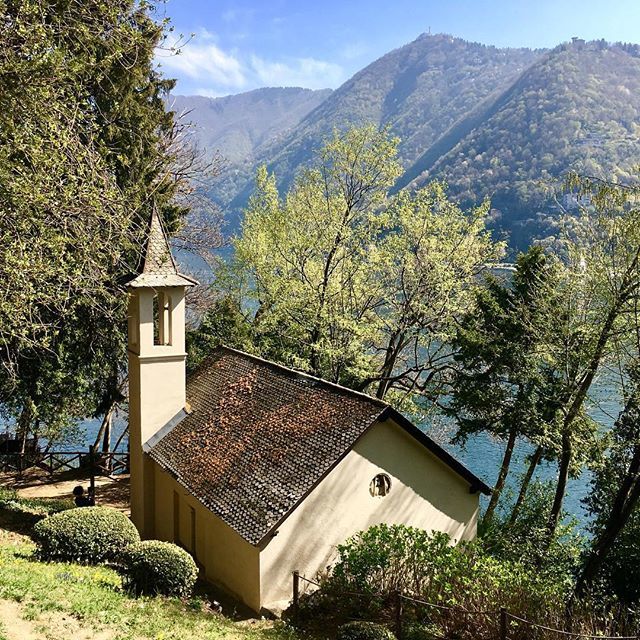 ilikethelakeco1's tweet image. Beautiful walk in Como surrounded by nature. .
.
.
@villagrumello @villasucota @fondazioneantonioratti .
.
#chilometrodellaconoscenza #villadelgrumello #villasucota #fondazioneantonioratti #como#lakecomo#comolake#ilikelakecomo#cernobbio #visitcomo#visitc… ift.tt/2UgI08V