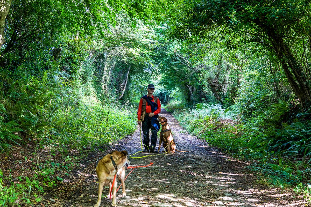 Frisch gebloggt: Claudia war mit ihrem Rudel in der #Normandie und hat einen schönen Wanderbericht und tolle Fotos mitgebracht. #WandernmitHund hunde-reisen-mehr.com/les-trois-moul…