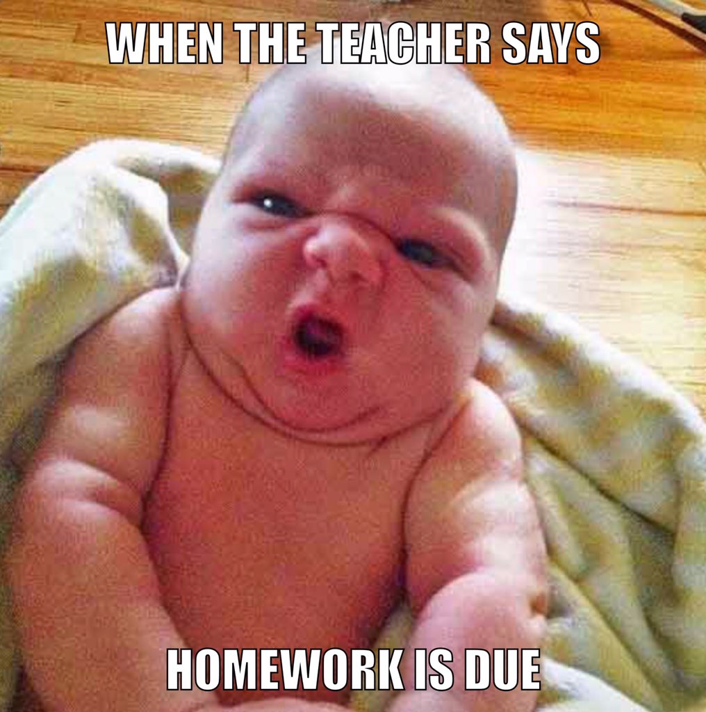 vanessakamlai's tweet photo. @gabe_creative When the teacher says: homework is due😯 #funnymemes #DIGC330 https://t.co/BG92TMkTD8