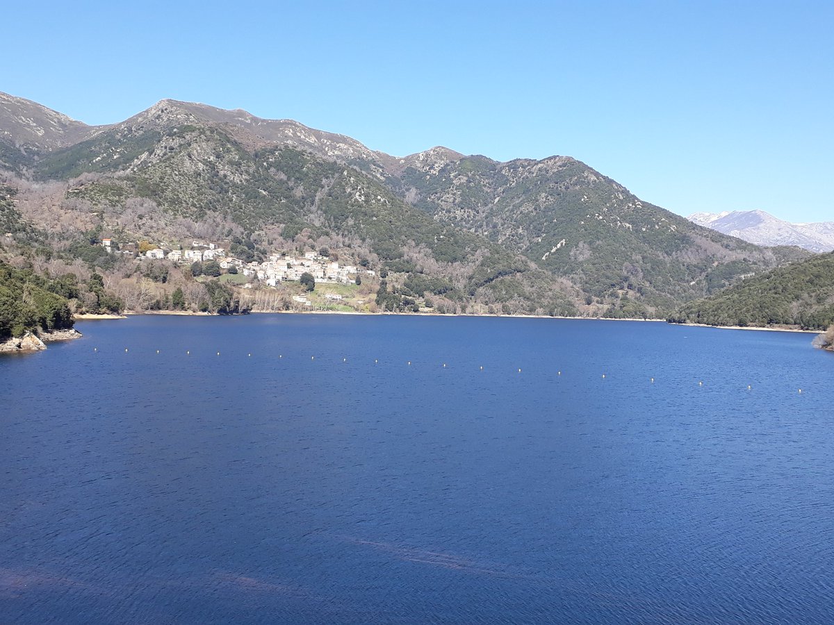 Serge Dalichoux tweet media