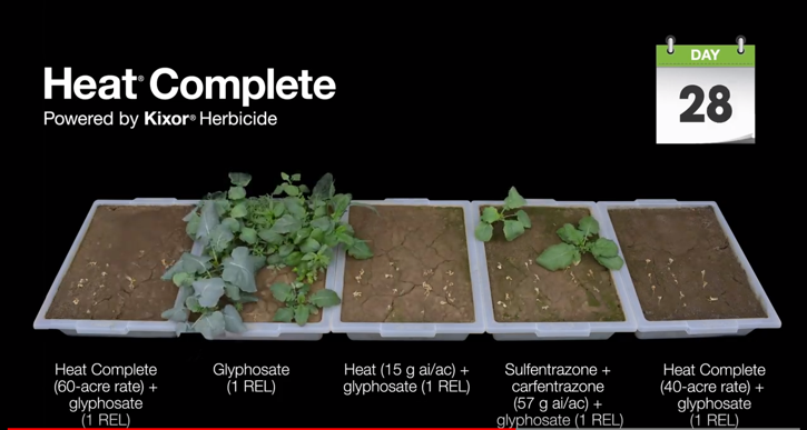 BASFAgSolutions's tweet photo. Meet #HeatComplete. The ultimate pre-seed burndown for tough-to-control weeds with extended residual activity. See the difference in this time lapse video demonstration! https://t.co/MCG6kGsLuh https://t.co/sh0GJcVgfr