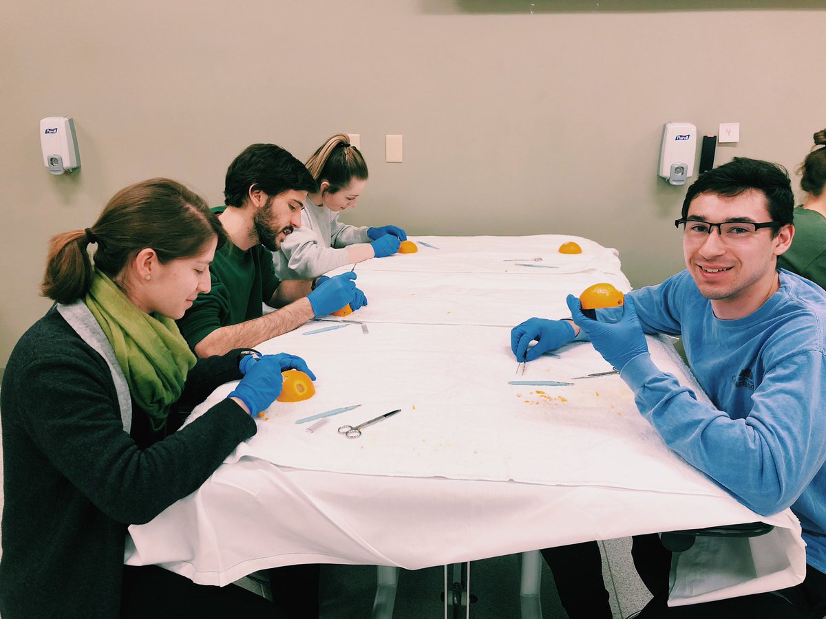 BU_DPT's tweet photo. 1st years practiced wound debridement in lab this week! Thanks Tracey Hayward and Nancy Stiles for sharing your expertise on #woundcare #budpt #guestlecturer https://t.co/AFbtULObTt