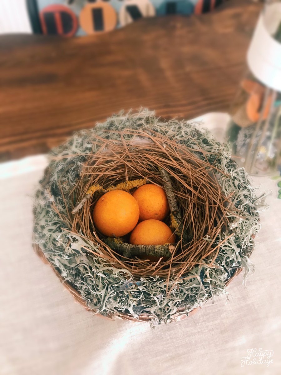 ikizmoss's tweet photo. #westpennest #eggs #kieffernadel #tannenrinde #barks #natural #decorative #homedeco #hanmade #creative #insparation #ideas #artpine https://t.co/xOKMN7ZzuS https://t.co/1YWxtAGgyk
