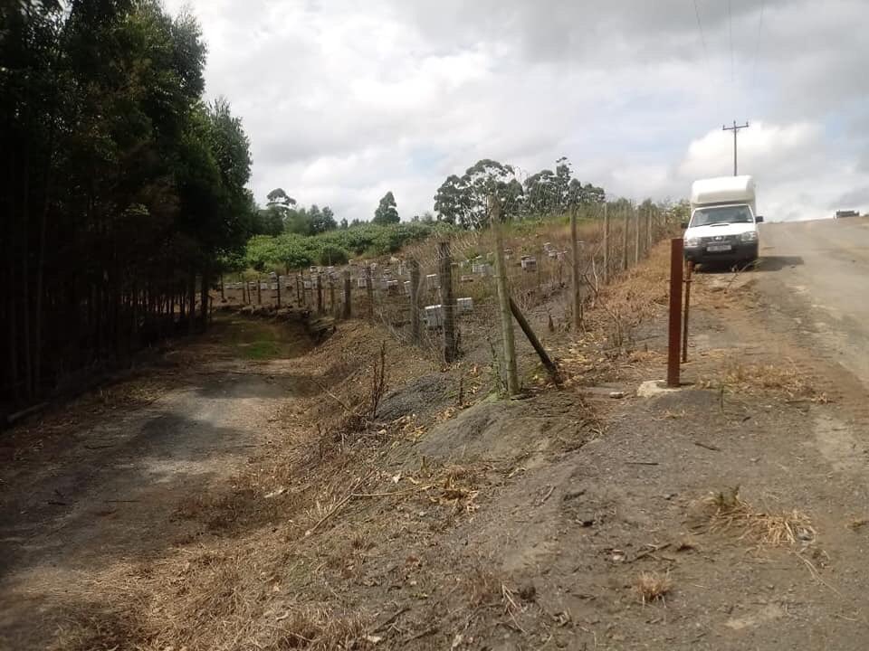 Weekend open day in Harding with fellow bee keepers.
📸: KZNBA