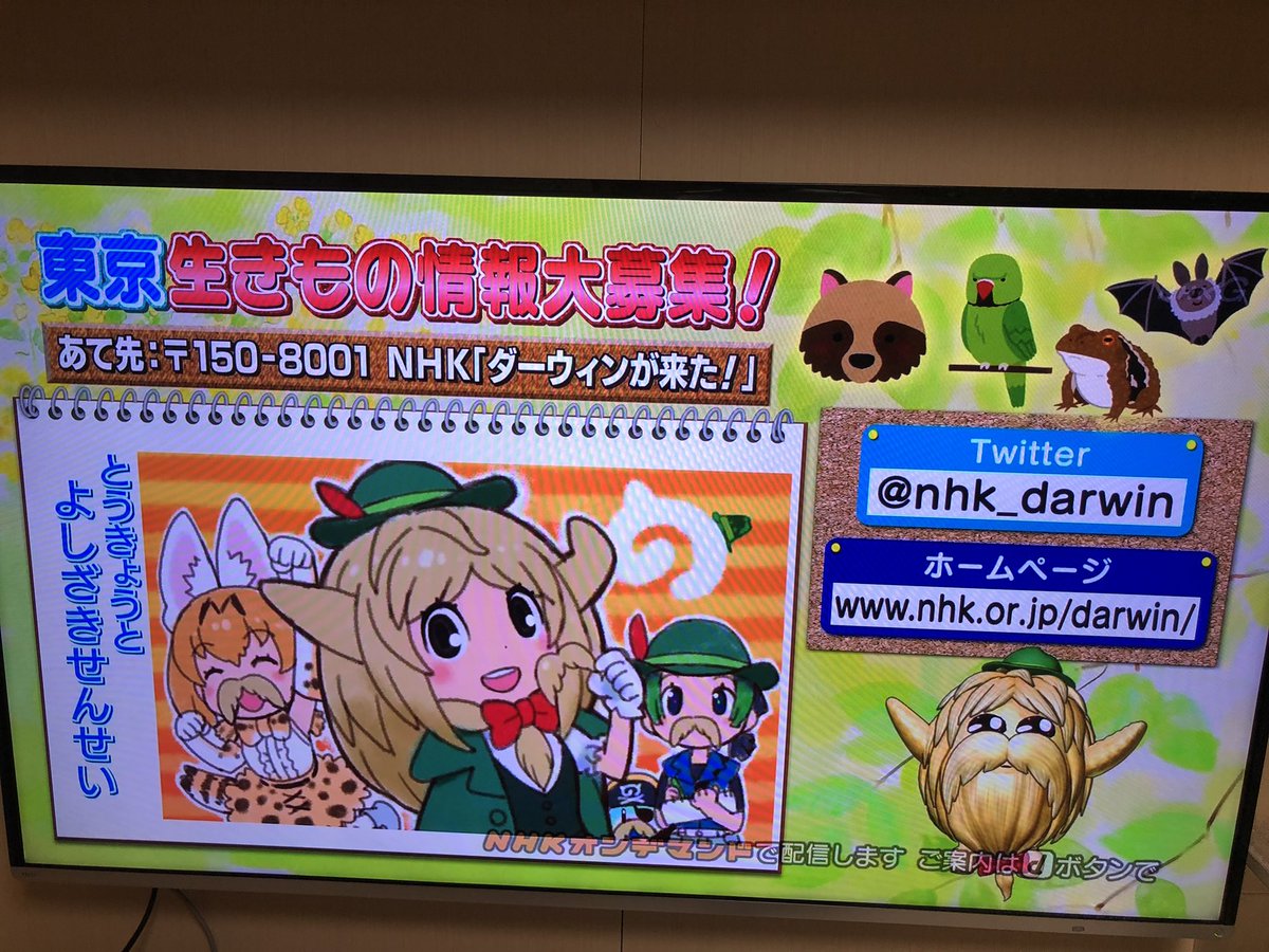 けもフレ2とnhk ダーウィンが来た コラボでヒゲじいがフレンズ化 Nhkもたつきを裏切った Togetter けもフレ2とnhk ダーウィンが来た コラボでヒゲじいがフレンズ化 Nhkもたつきを裏切った Togetter