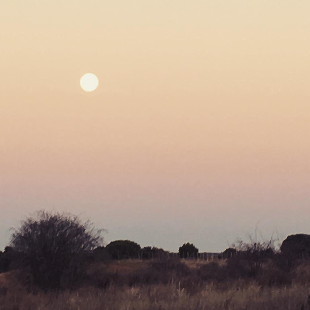 BodegaNegon's tweet photo. #luna llena, mucho más que #belleza, #energias que nos rodean y forman parte de nosotros.  #vive  #siente #felicidad https://t.co/3HXHTEZA9u