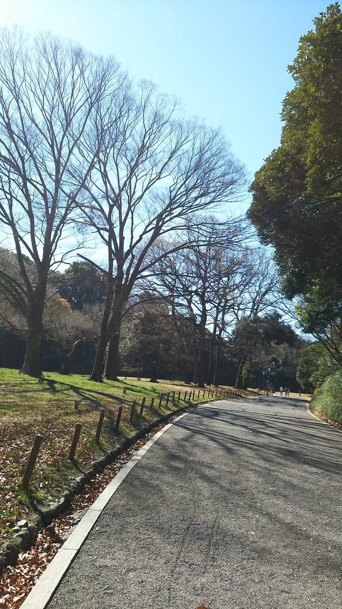 都内癒しスポット