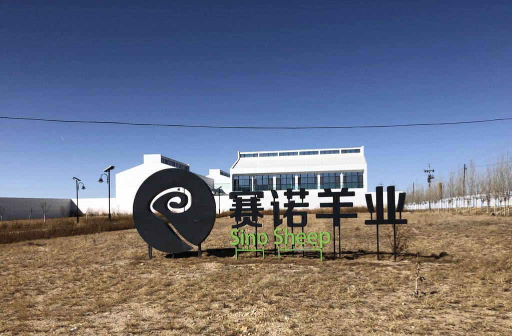 Out on the Sino sheep facility in Inner Mongolia, China today. This region holds more sheep than Australia - they’re doing a great job improving genetic selection for lambing rates and weight gain. And still plenty of room for Aust imported product to this important market.