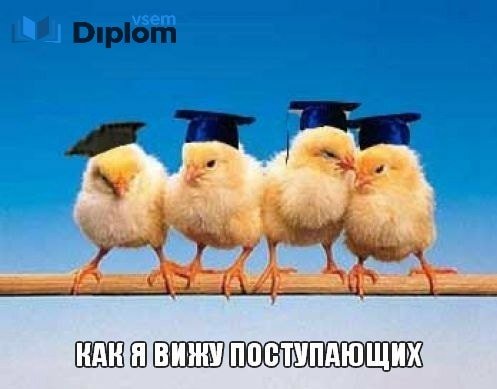 DiplomVsem_Humor (@bobdila09067600) on Twitter photo 