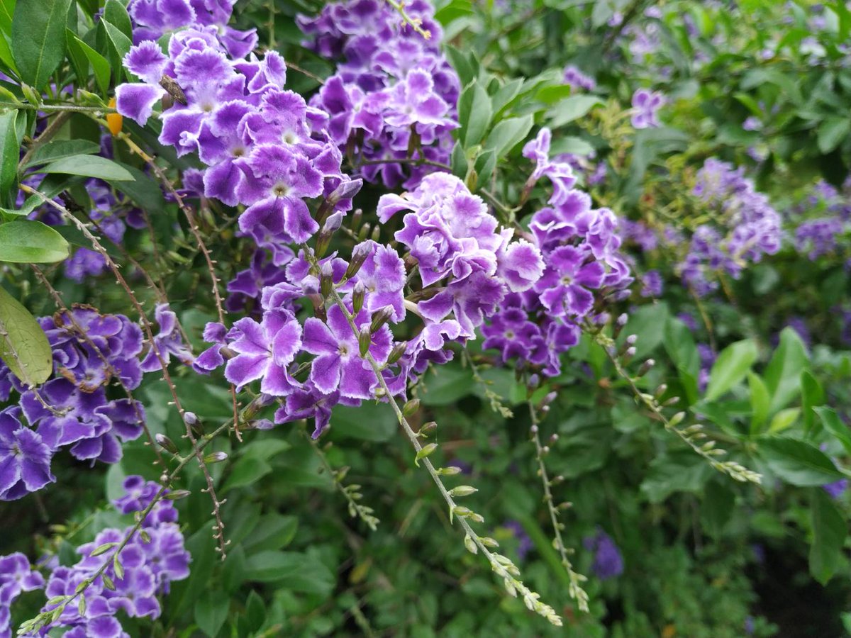 nmduy's tweet image. 