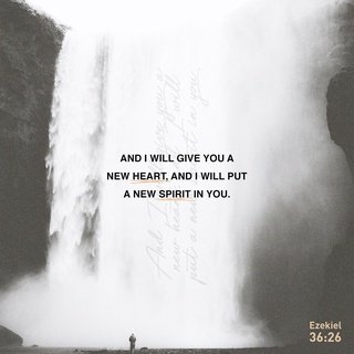 NTCOGbarataria's tweet photo. A new heart also will I give you, and a new spirit will I put within you: and I will take away the …
https://t.co/6FHlmIlPPA https://t.co/ppaRPGVptU