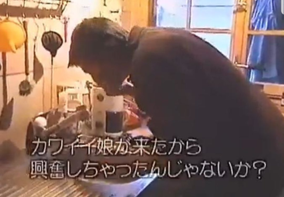 マグ わんわん 笑っていいとも スマスマと同じくらいに復活して欲しい番組が 世界ウルルン滞在記 藤原竜也 山本太郎 小栗旬 竹内結子 いい俳優が育った番組だよね 世界ウルルン滞在記 世界ウルルン滞在記sp 竹内涼真 松本穂香 T Co