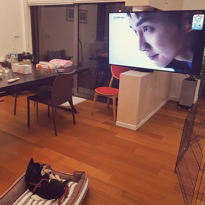 D2a9Z53XcAEjbpI.jpg:large