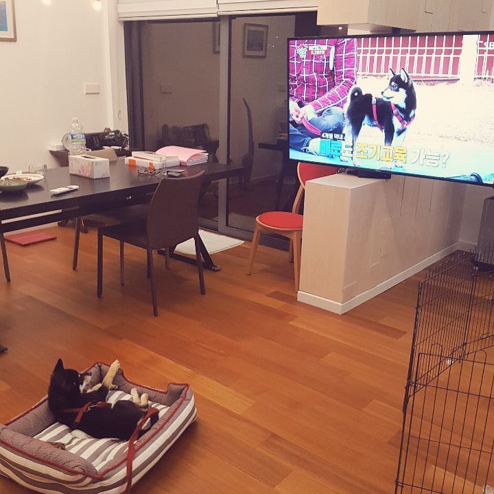 D2a9Z54WwAEImM_.jpg:large