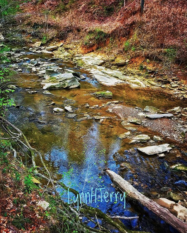 skinnyblynn's tweet photo. Reflecting the blue sky as sunset approached Saturday evening ~ #cahabariver @cahabariversociety1988 #birminghamalabama #photography #birminghamphotographer #instagram #instagrambham #nikon #nikond3300 #colorphotography #skinnyblynnonthestreet #myphotography #river #alabamar… https://t.co/SLf1pFrUvi