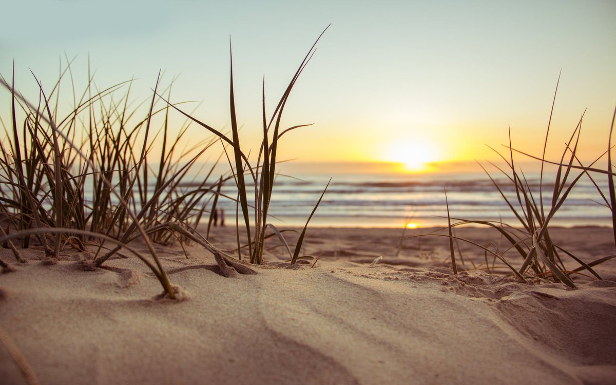 SunkissedPlus's tweet photo. Summer is OFFICIALLY here! Find out your BEACH ESSENTIALS on this post: https://t.co/vgIBCYRD0t https://t.co/VU8XoodNqc