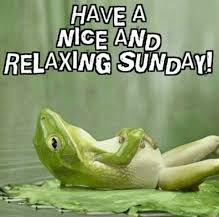 BatMaury's tweet photo. Have a nice and relaxing Sunday! ☀️😎🔝 https://t.co/qrvie7LE21