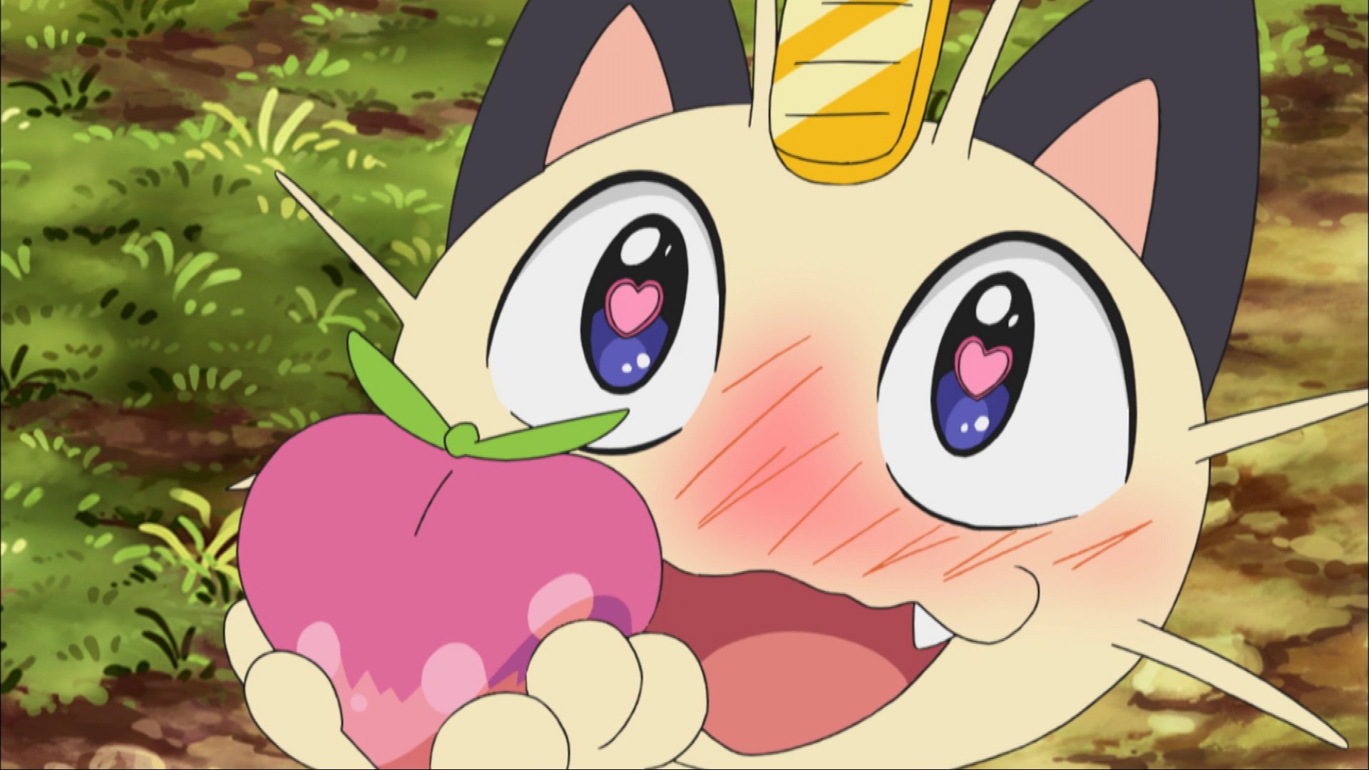 ポケモン公式ツイッター Twitter पर 今日のアニポケ クールなまなざしに一目ぼれ ニャースがウルトラビーストに恋をした ビューティーちゃん と呼んで懸命に尽くすも 冷たくあしらわれてしまう はたして ニャースの恋路はどうなる T Co