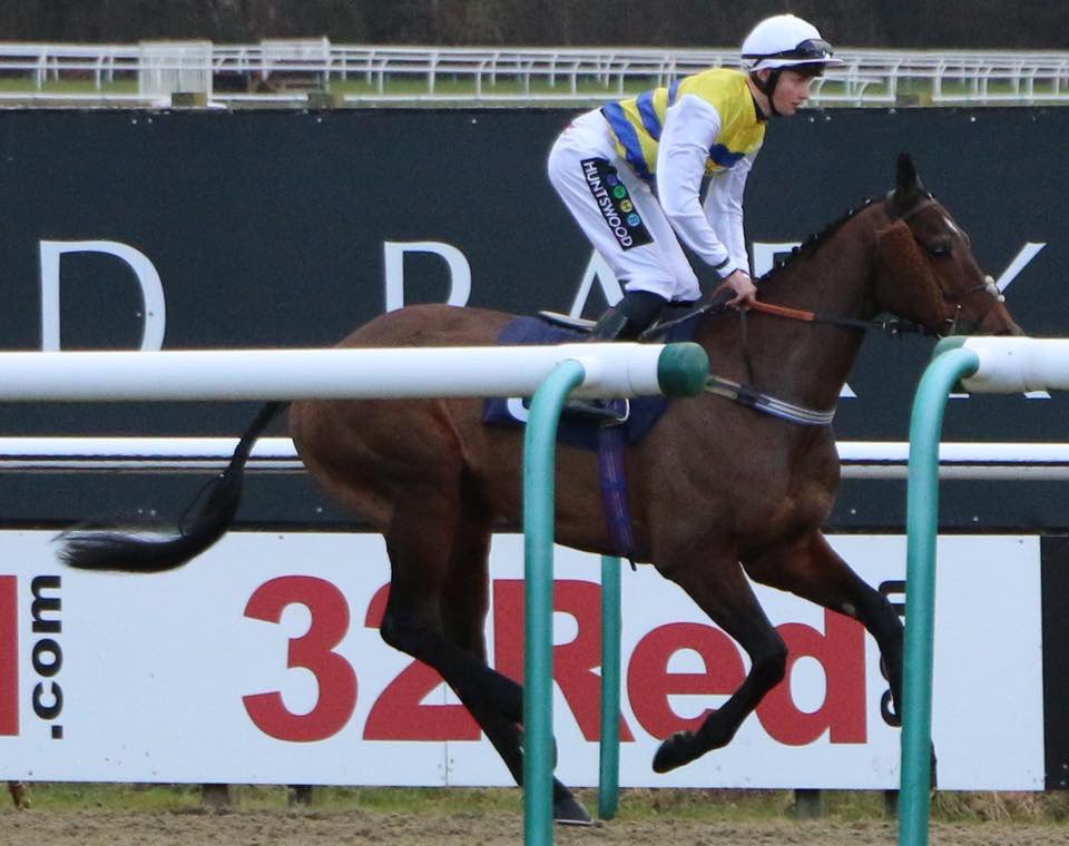 RaceHorseTrader tweet picture
