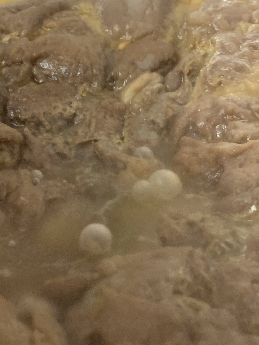 Día de elaboración. Hoy disfrutamos de nuestra primera sour NEIPA con mango y wildyeast Piquirroti  #craftbeer #Sabro