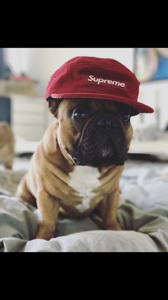 İlker Marangoz (@marangozilker) on Twitter photo 