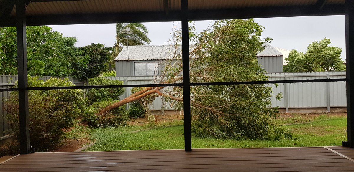 We've lost a tree but otherwise #TCVeronica hasn't been too vicious to our part of the Pilbara