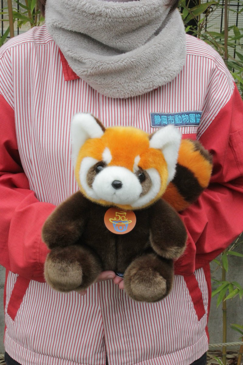 オリジナルグッズ情報第2弾は、レッサーパンダのぬいぐるみです