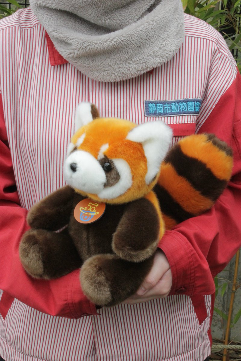 オリジナルグッズ情報第2弾は、レッサーパンダのぬいぐるみです