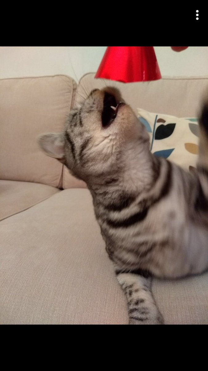 @indigorush101 <a href="/DR_Diversify/">Danganronpa Diversify</a> mood