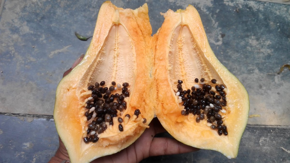 Md:Sohag tweet media