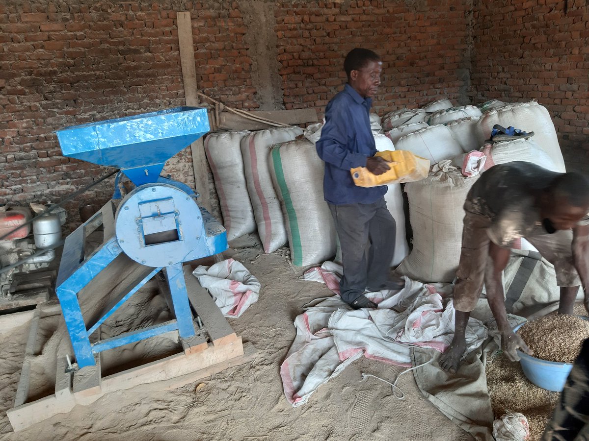 faustinkuli1's tweet photo. With Agriterra the cooperatives of Ruzizi plain in DRCongo intend to go ahead realizing great benefits and this is always possible given the enormous potentialities and determinations of the members. https://t.co/c6ucV71ZwZ