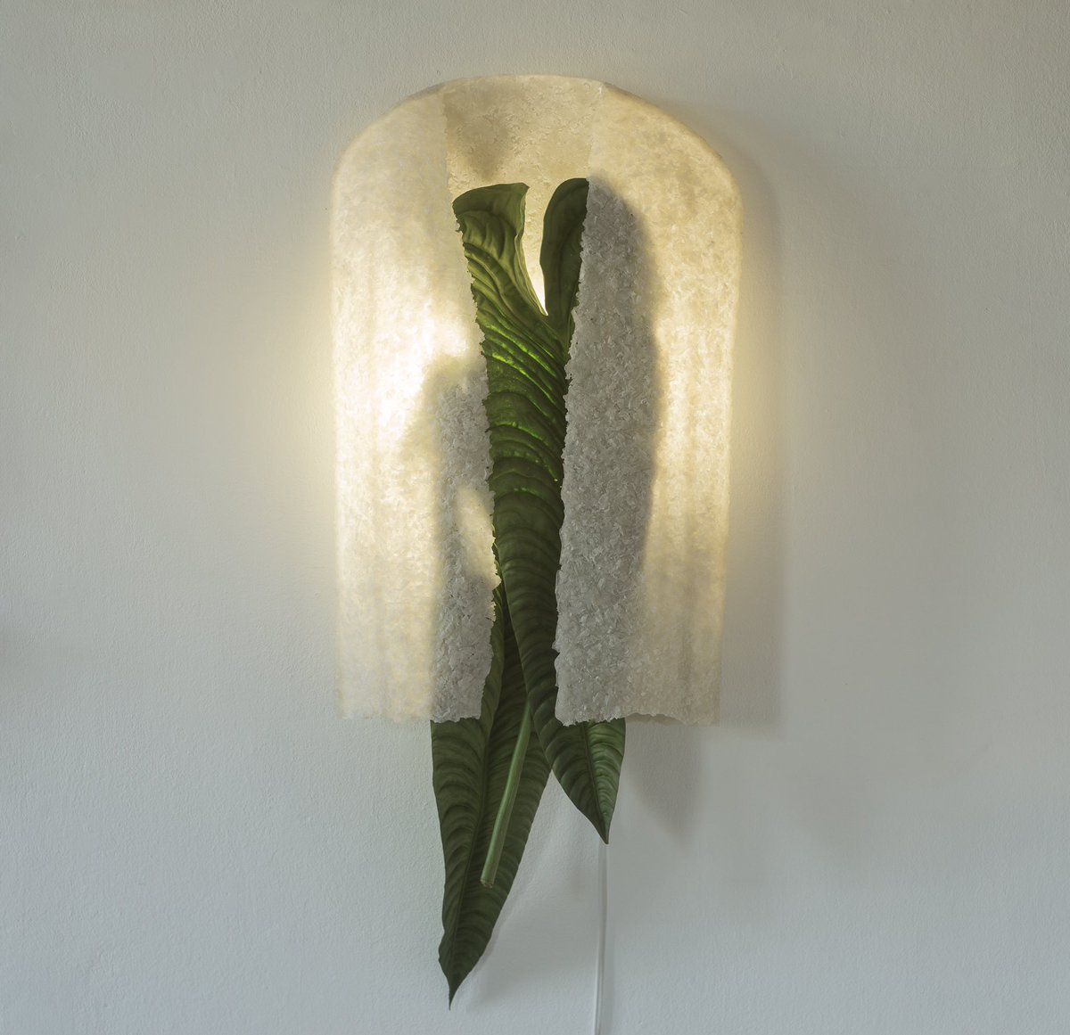 Triumph Gallery tweet media