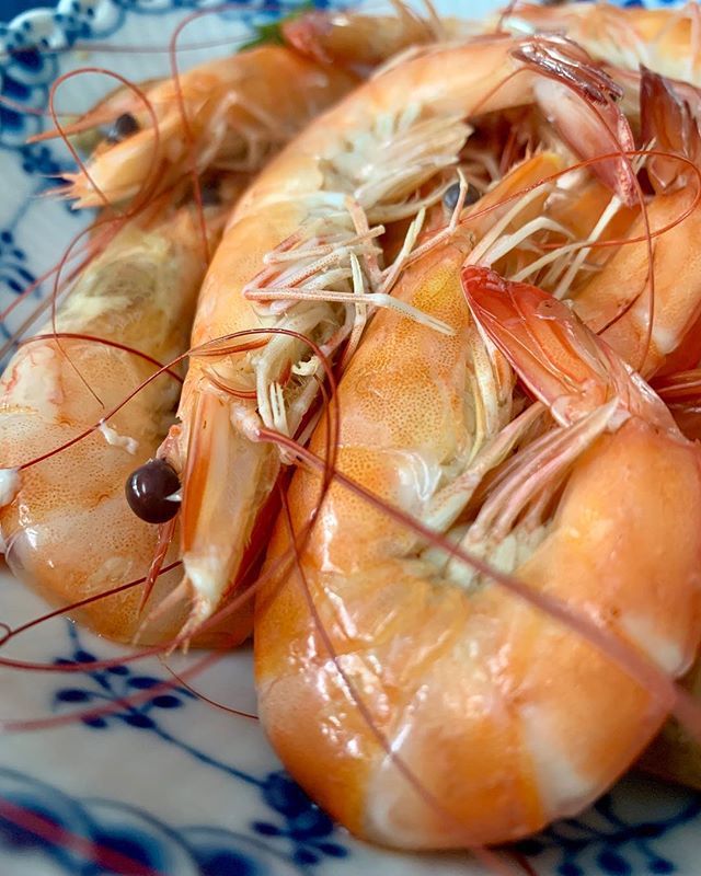 KWSKAN's tweet photo. #SteamedPrawns #Prawns #FreshPrawns #Seafood #GastronoGram #Food #Foodie #FoodPorn #GastroArt #InstaFood #Instagramers #FoodGasm #FollowMe #FoodStagram #YoLo #FoodPics #PhotoOfTheDay #BestOfTheDay #Foodspiration #IGDaily #Delicious #Amazing #Yummy #RealF… https://t.co/TebbmfrhKR https://t.co/P8Cbben7cU