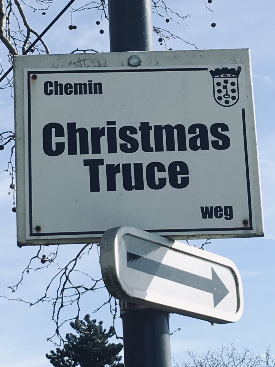 Tom Iliano tweet media