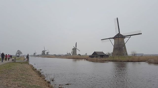 SWorldTraveller's tweet photo. Kinderdijk, where you can find a lot of typical Dutch wind mills. Have you been?

#throwback #travelphotography #windmill https://t.co/u7w9hvjvLw https://t.co/IC8vSTYZaW