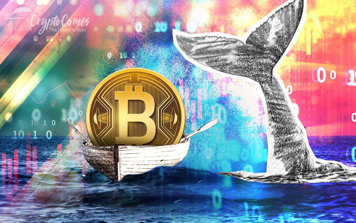 WhaleCryptSigna's tweet photo. As We Said Earlier
Here Only Quality Signals 
Dont Look For Quantity Signals
All our Signals Hits 
So Far in This Group we Give upto 100%+ Profit Signals
I hope You guys Share our Group link so that everybody makes nice profit.
#blockchain#Bittrex#bitcoin #binance#xrp#ltc#eth#ltc https://t.co/iNYZ2wD1hi