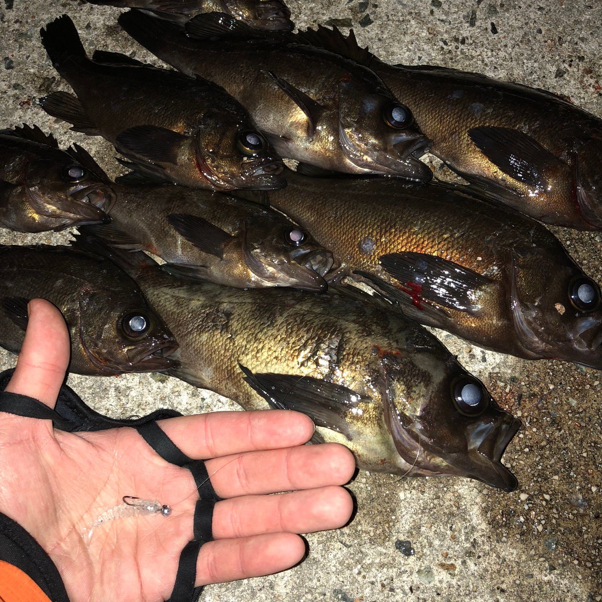 ハンドポワードワーム