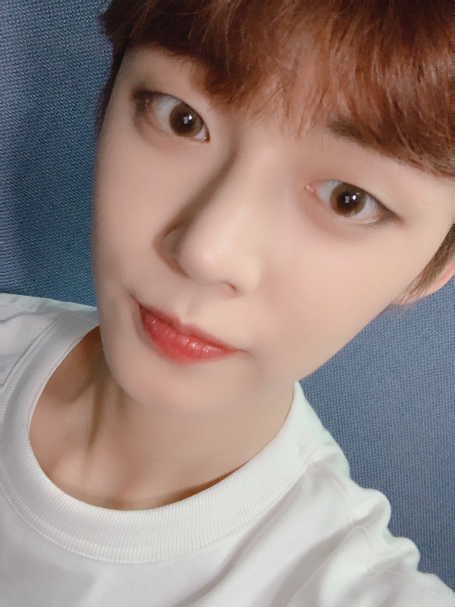 TXT_members tweet picture