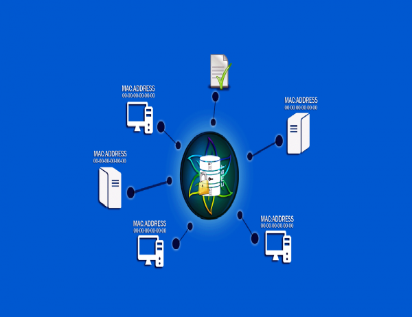 Coin Market Brasil tweet media