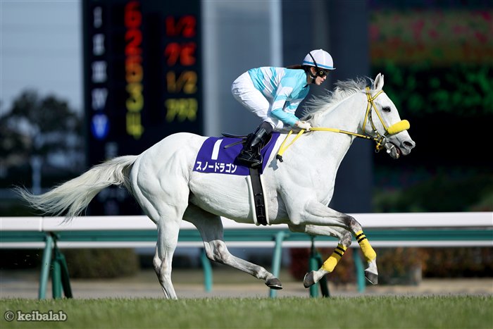 りんごあめ 競馬垢 Pom D Amour131 Twitter