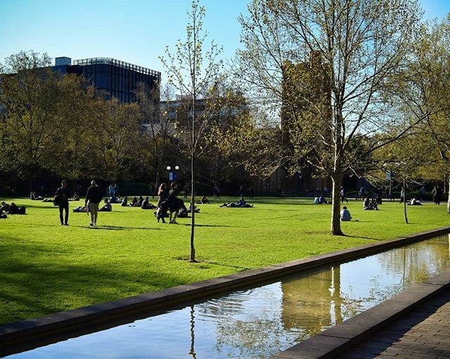 berke__bat's tweet photo. Uni assignments coming in 👀 would much rather procrastinate and edit photos 😅
• 
#university #garden #grass #plain #tree #river #water #reflection #waterreflection #spring #summer #bright #chill #melbourne #study #green #blue https://t.co/x0C4YSvqcx