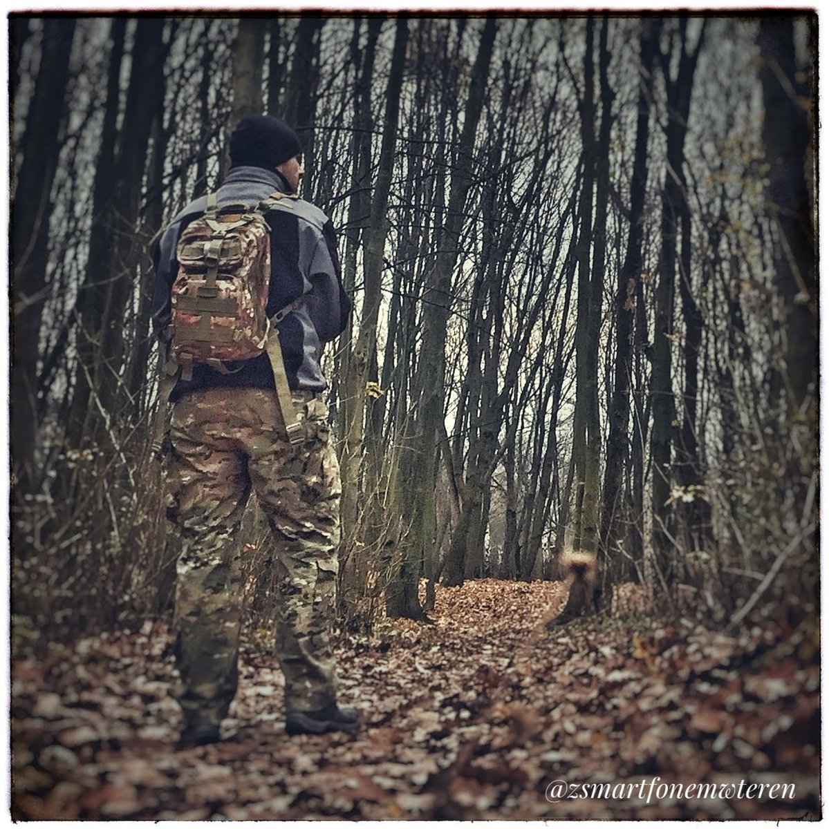 zsmartfonemwt's tweet photo. Las to magiczne miejsce.Pozwala naładować akumulatory,oderwać się od chaosu...🌲🌲🌲 https://t.co/O56oNqbtSc