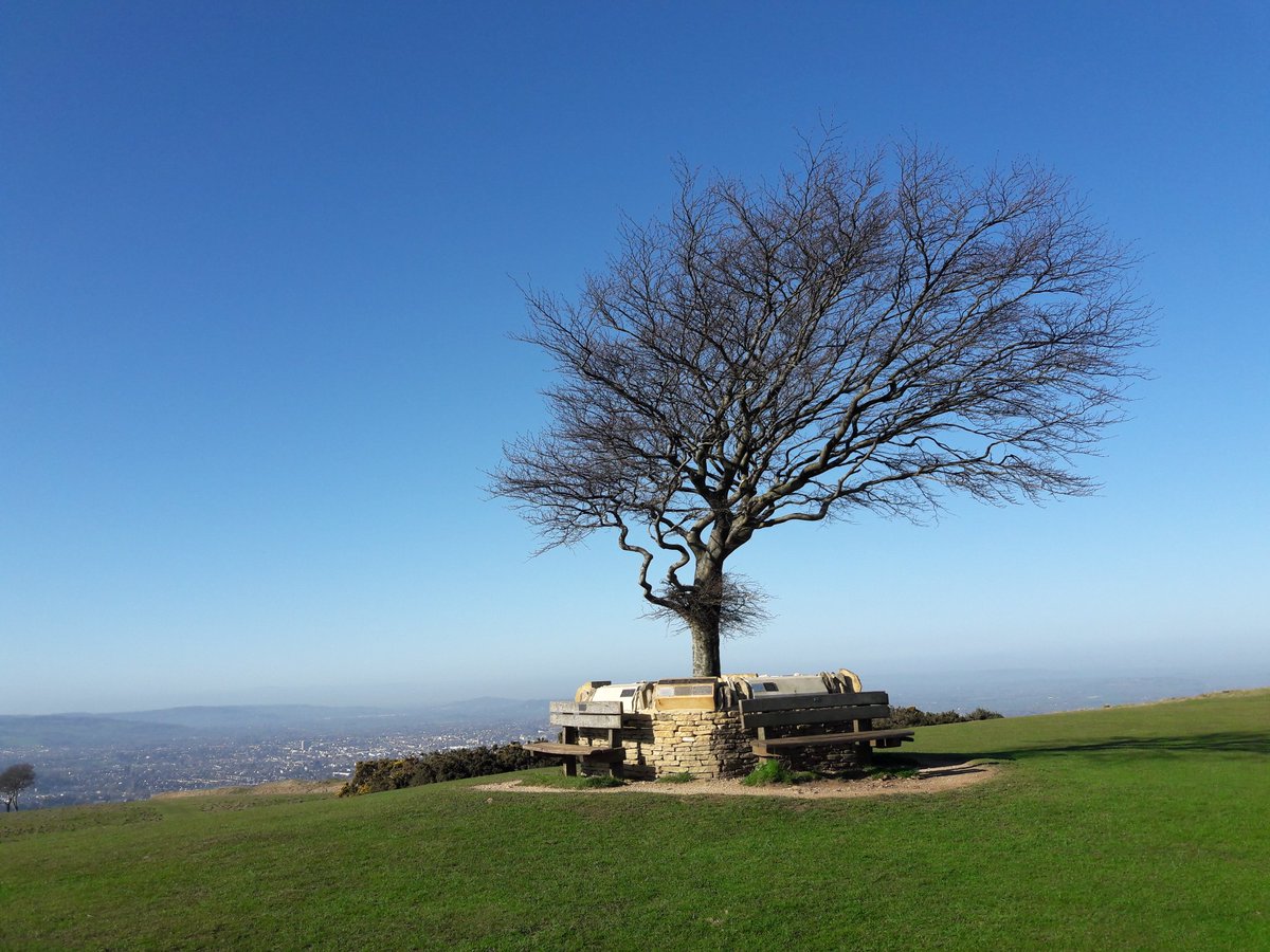 davespublic's tweet photo. What a gorgeous morning for a run over @CleeveCommon Here's a selection of my quick pics. https://t.co/p90VsXy8Ih